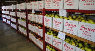 HACCP система за склад за търговия с храни