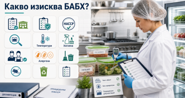 Инфографично изображение на инспектор, който проверява хранителен обект с термометър, HACCP документация и контролен списък
